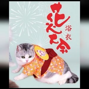 PurLab Cat orange Kimono w Fan Japan Cosplay Halloween Festival etc